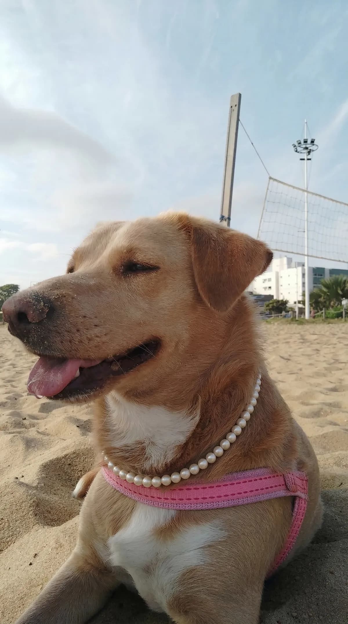 Margot na praia