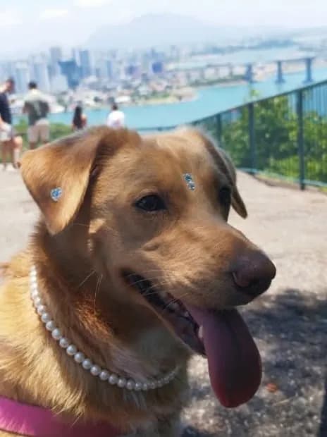 Margot usando colar de pérolas