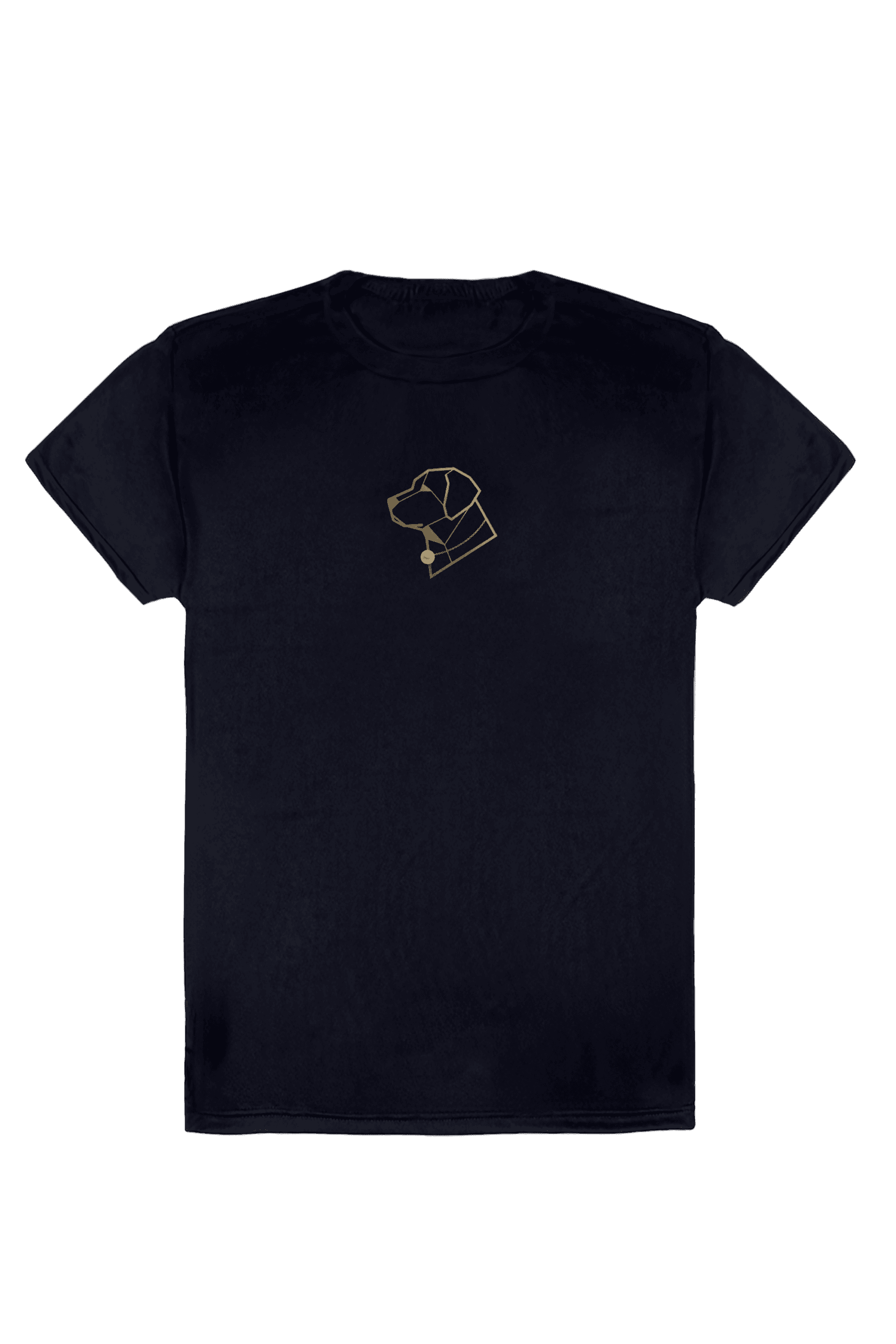 Camiseta Dry Fit Logo Centro