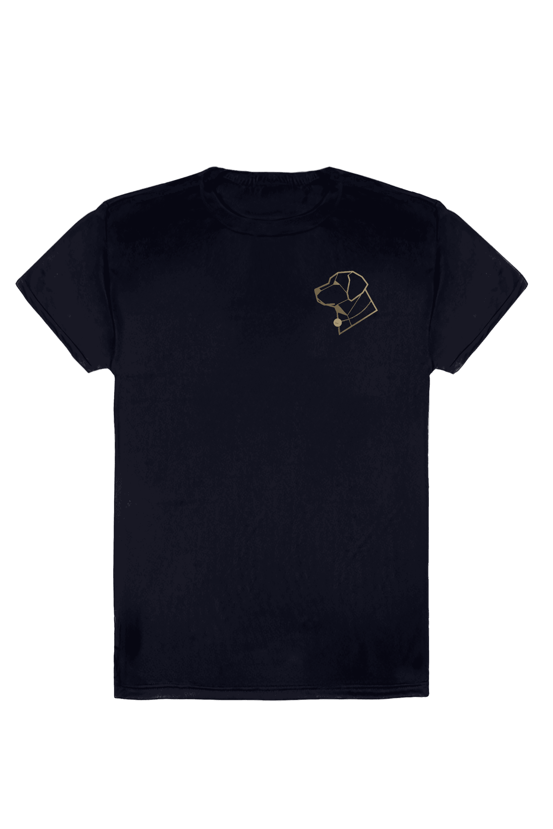 Camiseta Dry Fit Logo Peito